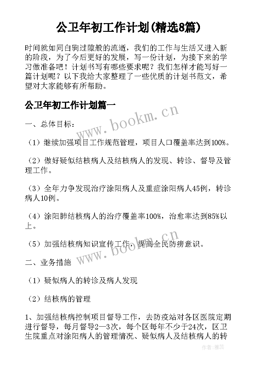 公卫年初工作计划(精选8篇)