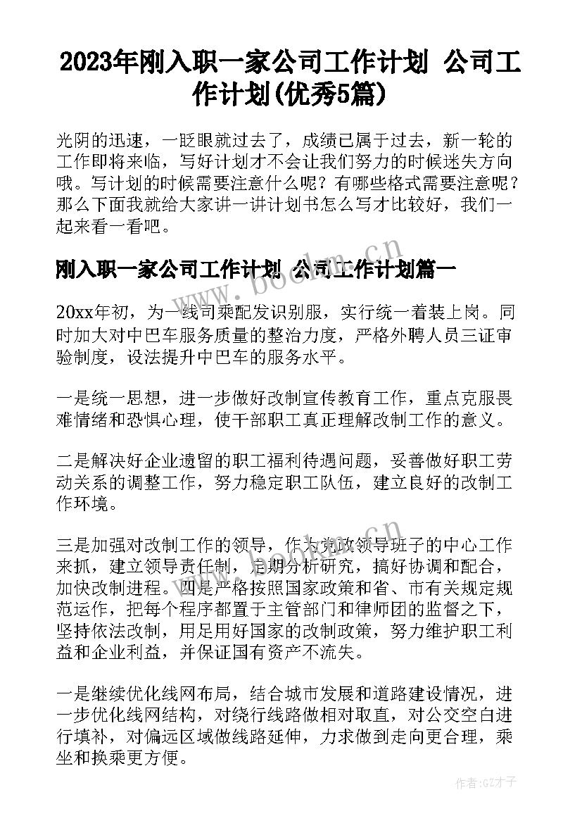 2023年刚入职一家公司工作计划 公司工作计划(优秀5篇)