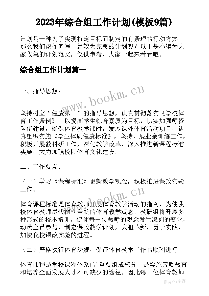 2023年综合组工作计划(模板9篇)