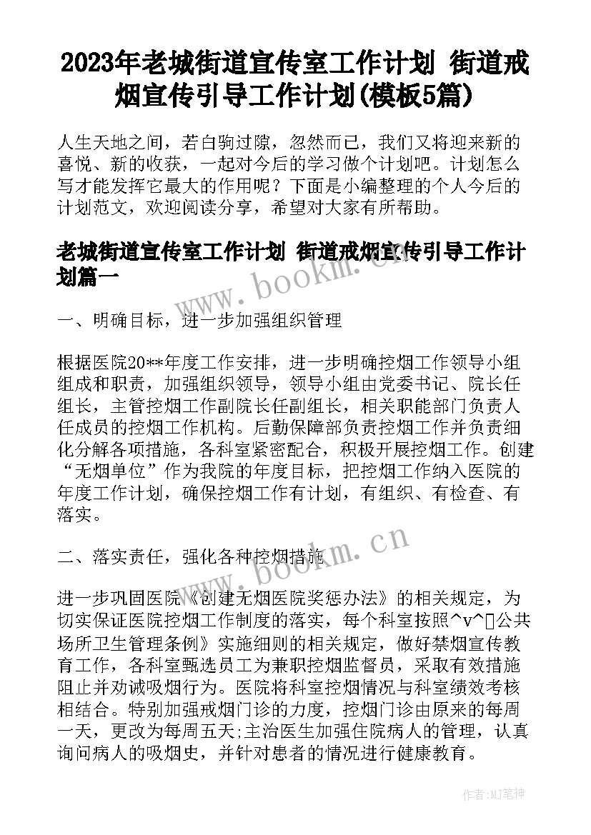 2023年老城街道宣传室工作计划 街道戒烟宣传引导工作计划(模板5篇)