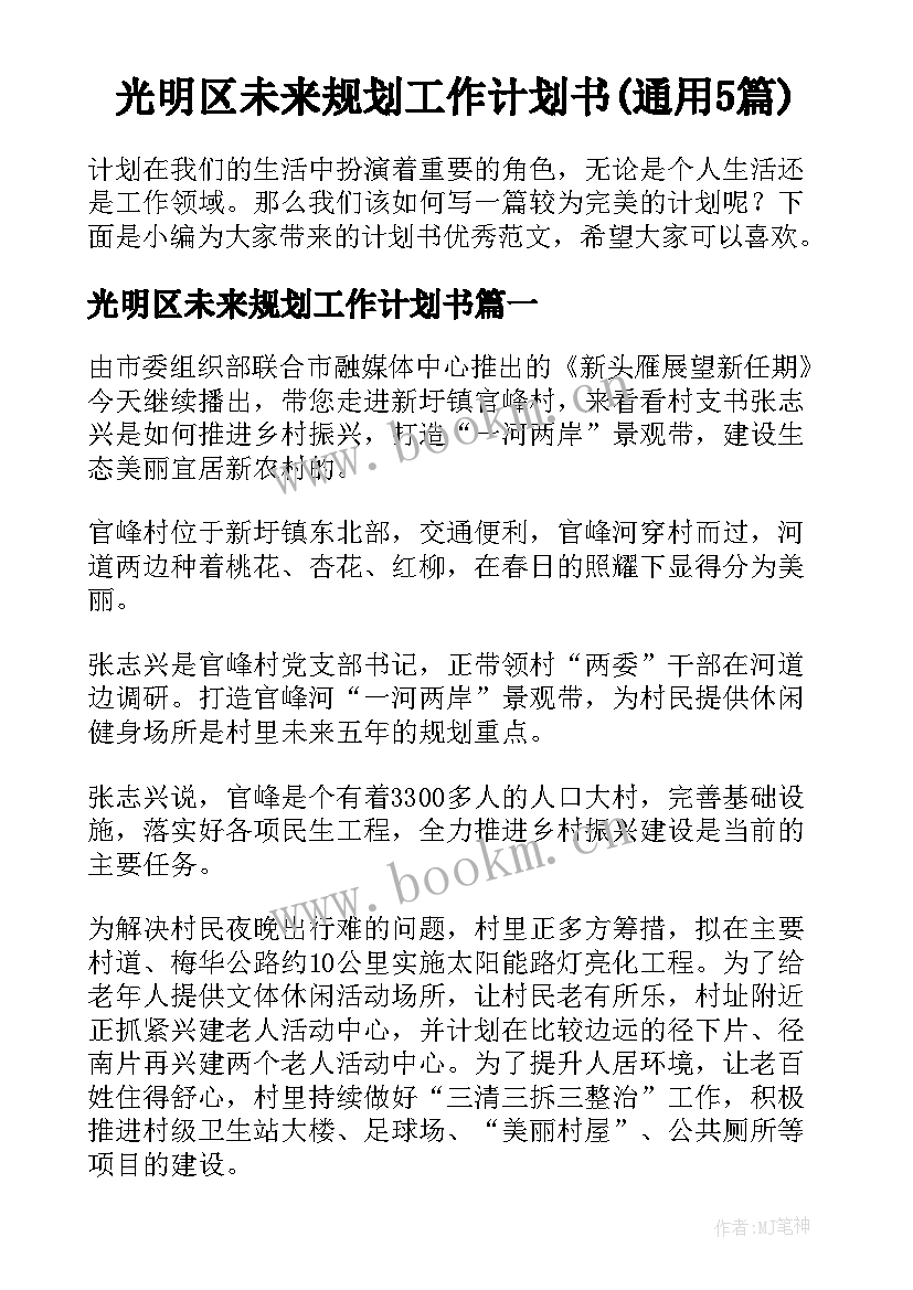 光明区未来规划工作计划书(通用5篇)