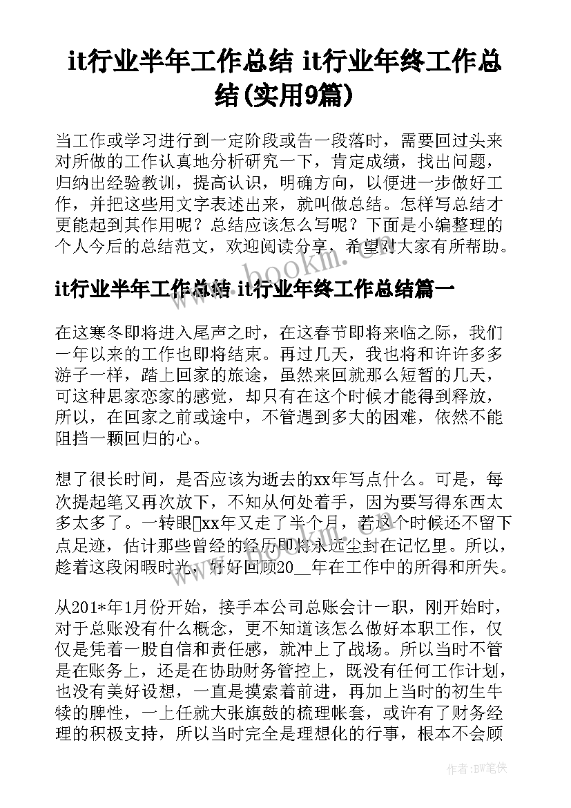 it行业半年工作总结 it行业年终工作总结(实用9篇)