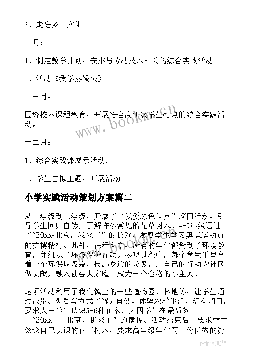 2023年小学实践活动策划方案(通用5篇)