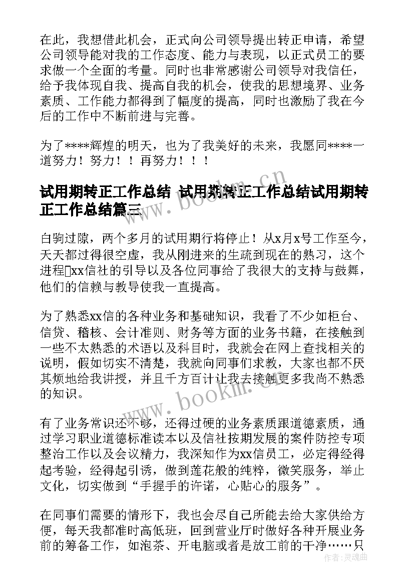 2023年试用期转正工作总结 试用期转正工作总结试用期转正工作总结(汇总8篇)