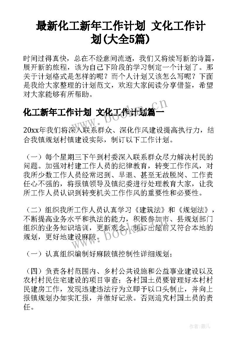 最新化工新年工作计划 文化工作计划(大全5篇)