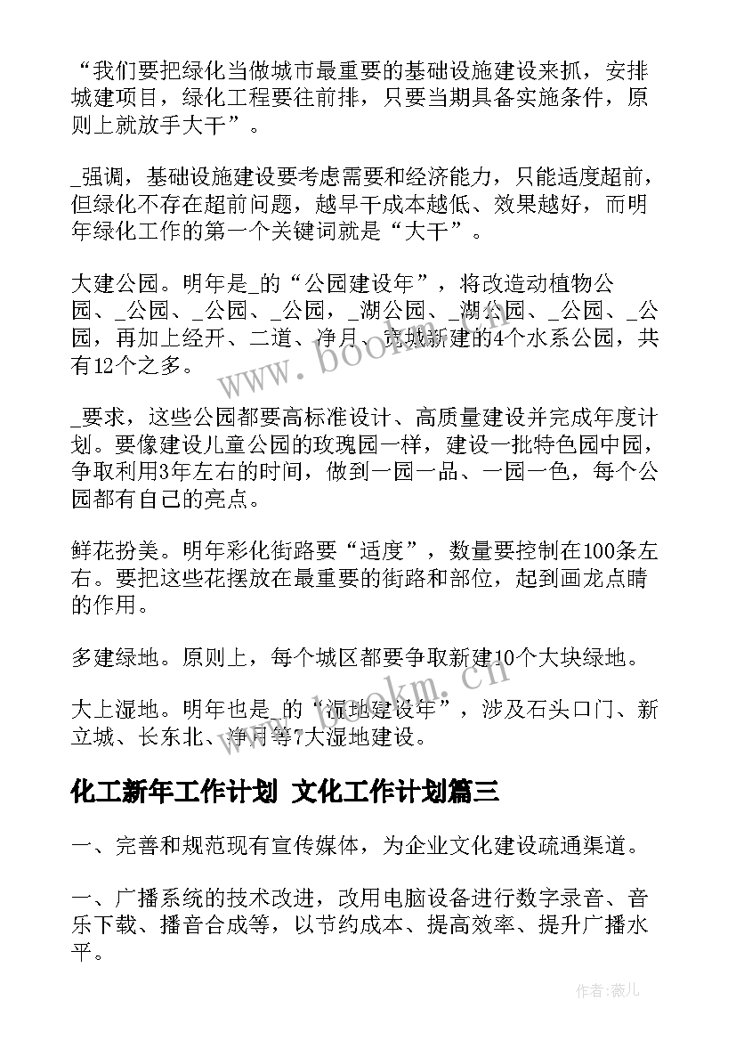 最新化工新年工作计划 文化工作计划(大全5篇)