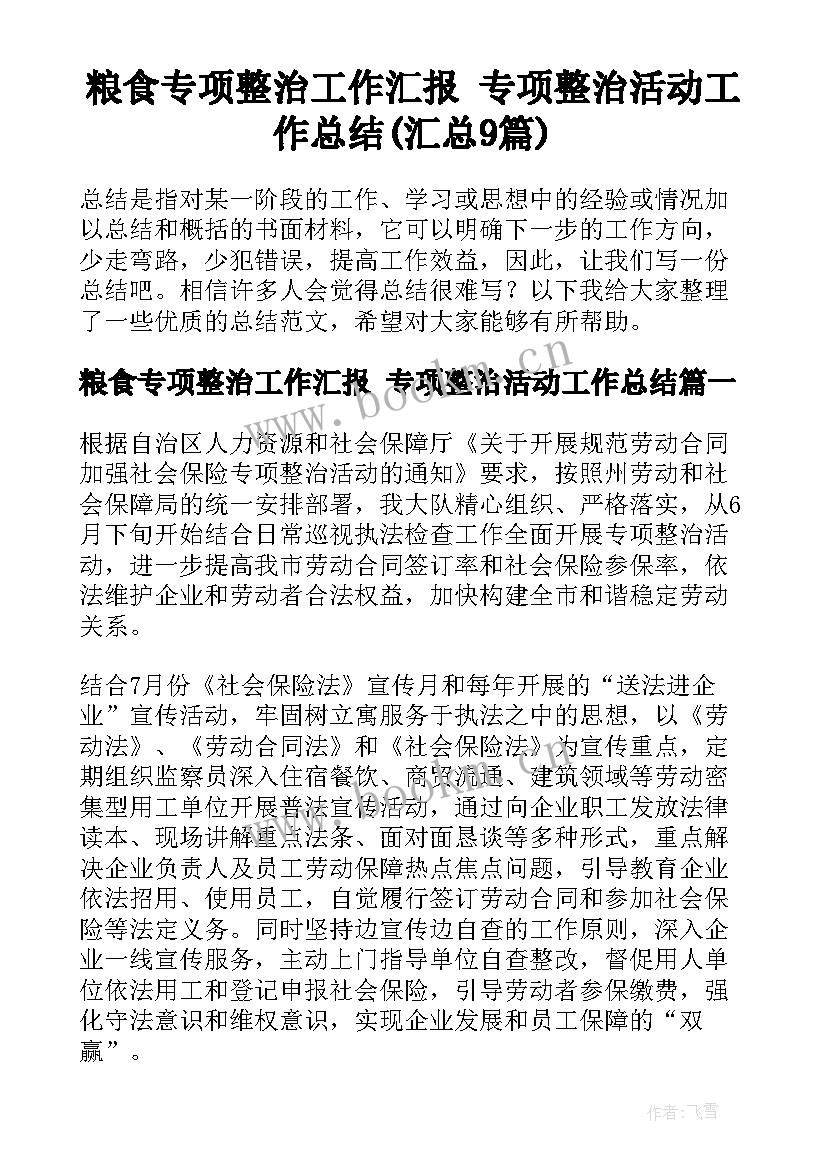 粮食专项整治工作汇报 专项整治活动工作总结(汇总9篇)