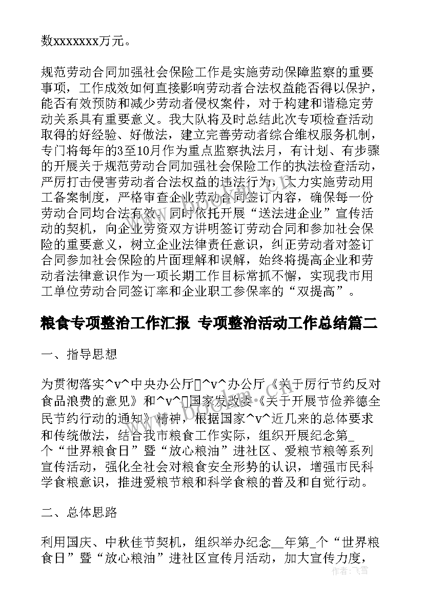 粮食专项整治工作汇报 专项整治活动工作总结(汇总9篇)