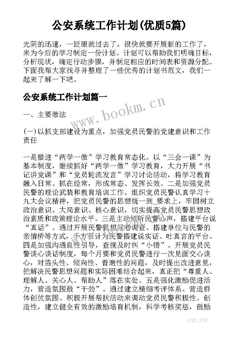 公安系统工作计划(优质5篇)