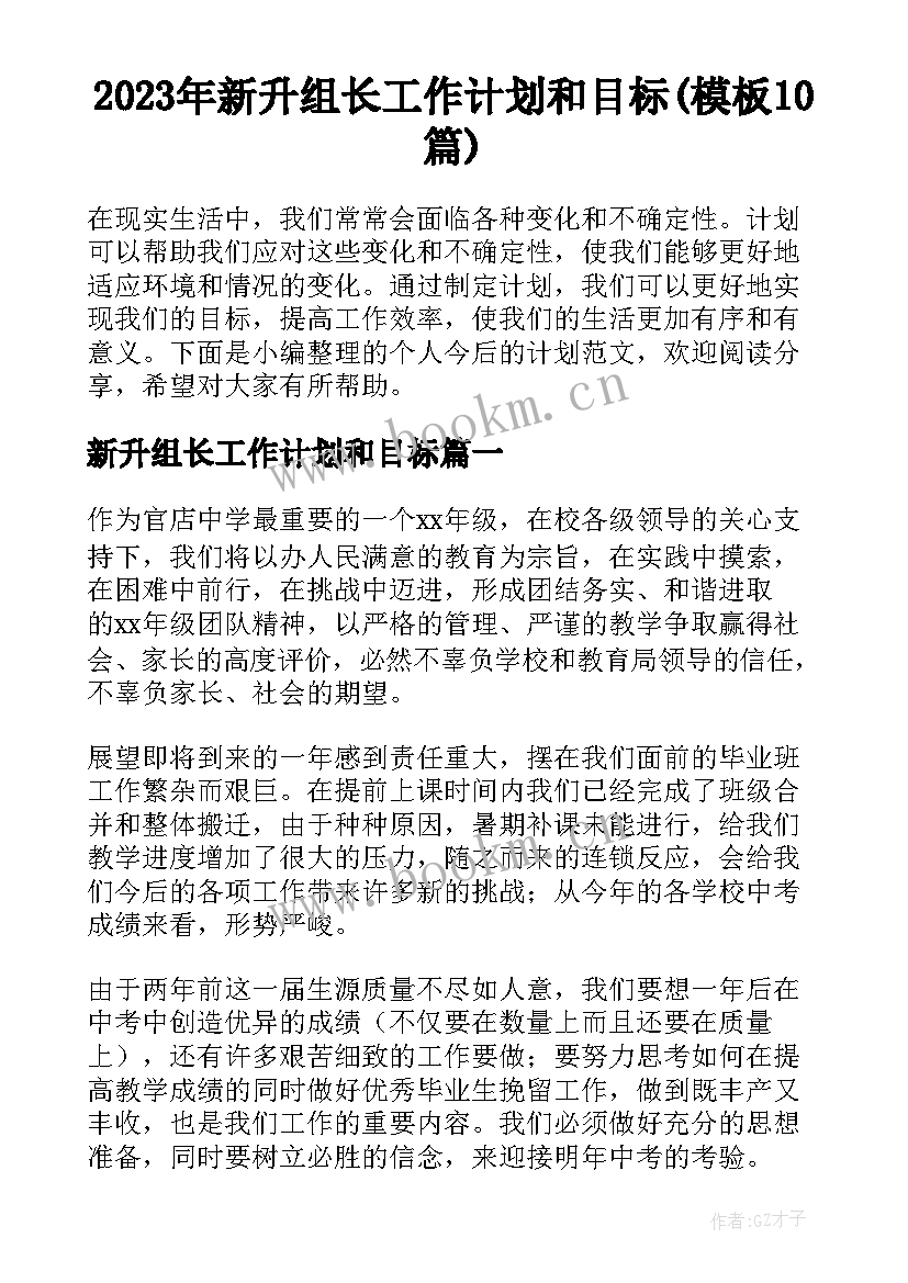 2023年新升组长工作计划和目标(模板10篇)