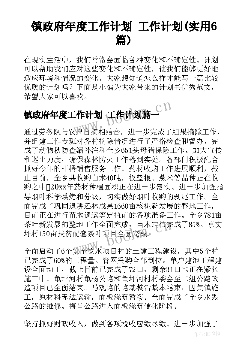 镇政府年度工作计划 工作计划(实用6篇)