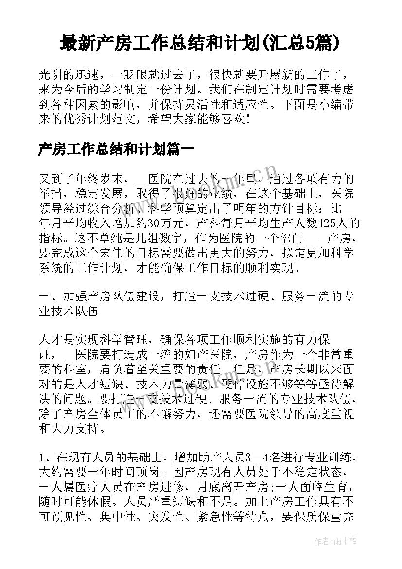 最新产房工作总结和计划(汇总5篇)