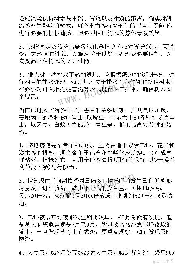 绿化养护计划及方案 西安小区绿化养护工作计划(优质9篇)