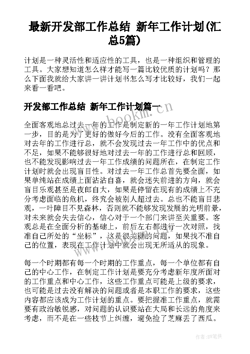 最新开发部工作总结 新年工作计划(汇总5篇)