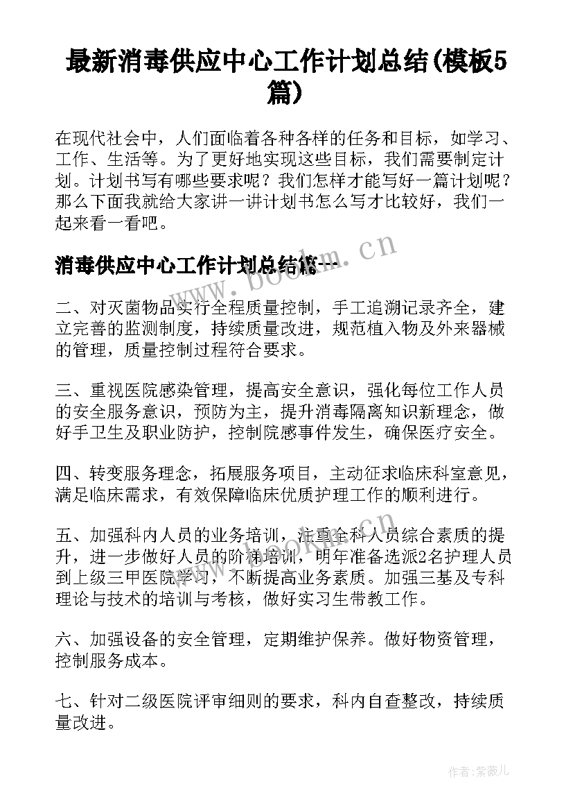 最新消毒供应中心工作计划总结(模板5篇)