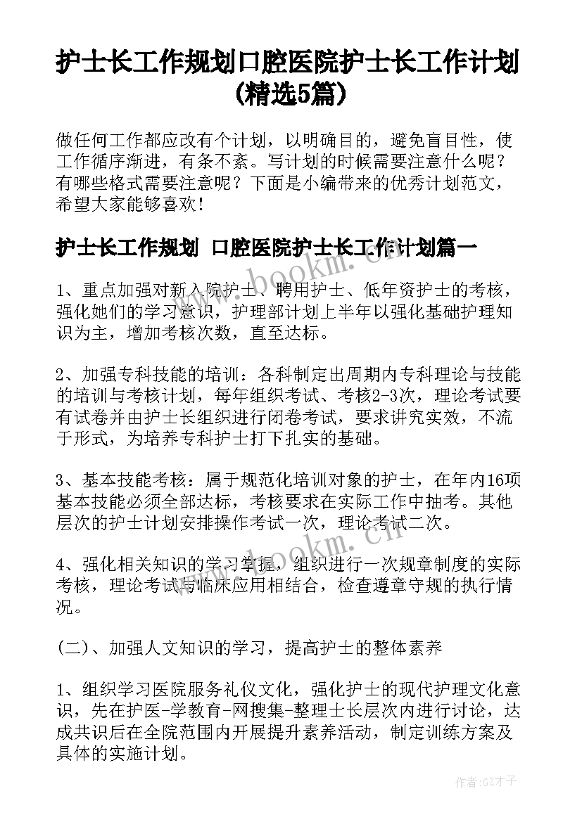 护士长工作规划 口腔医院护士长工作计划(精选5篇)