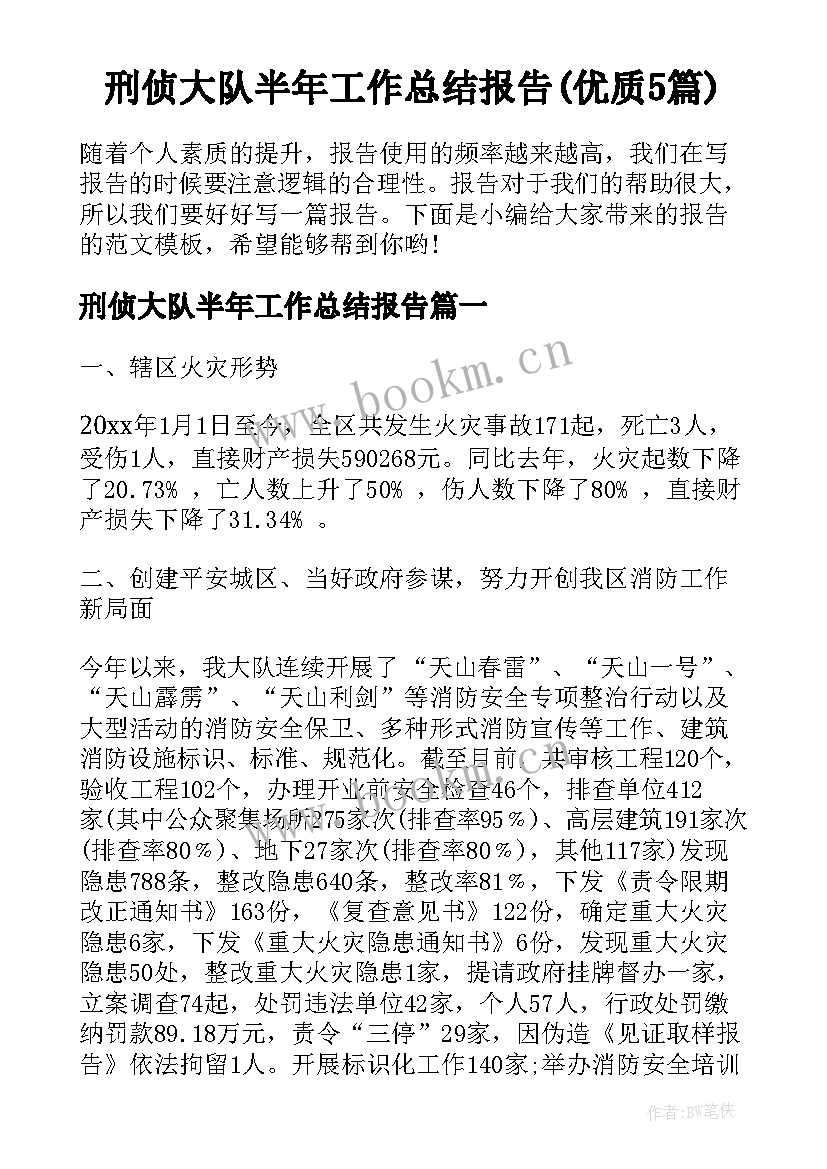 刑侦大队半年工作总结报告(优质5篇)