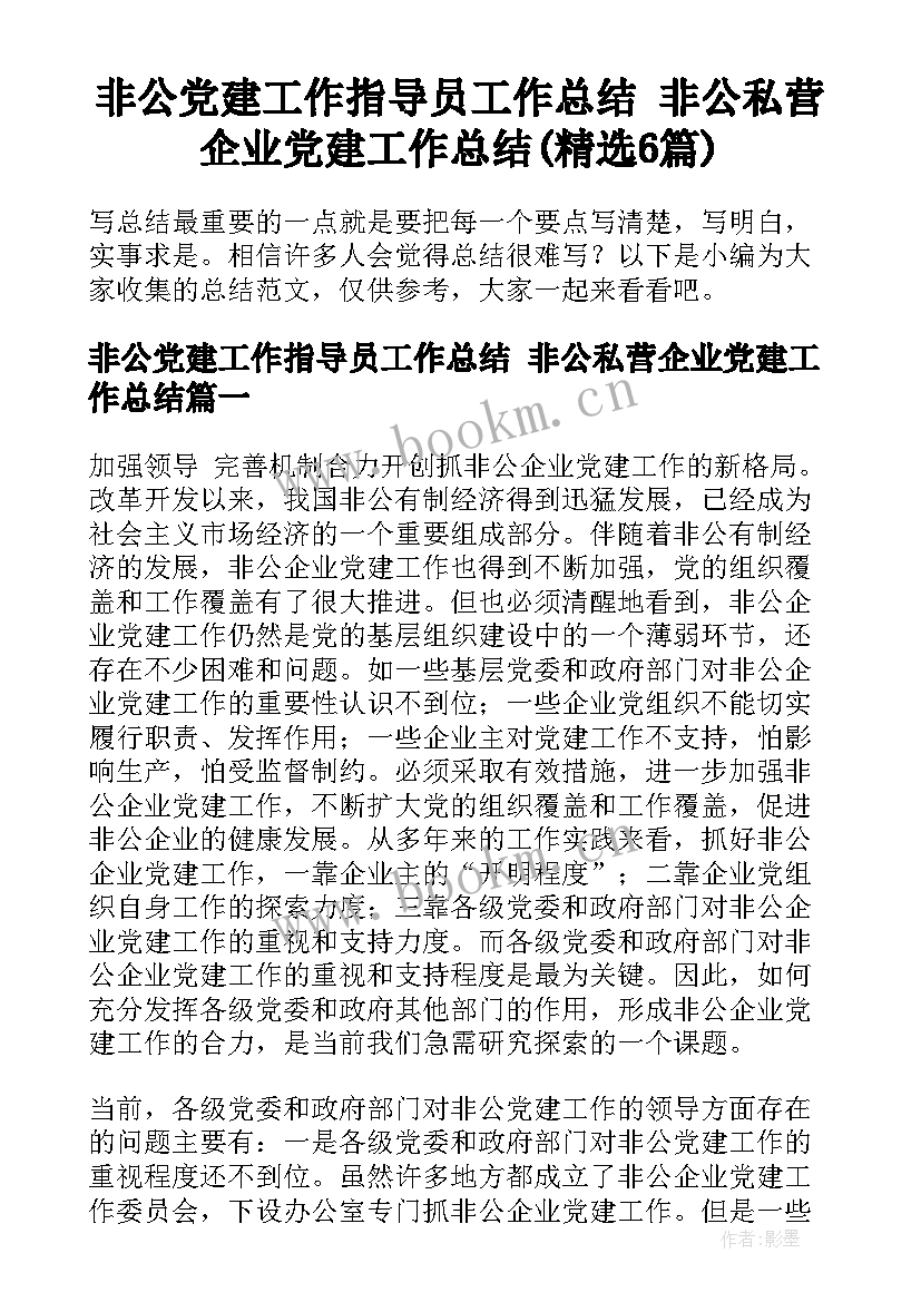 非公党建工作指导员工作总结 非公私营企业党建工作总结(精选6篇)