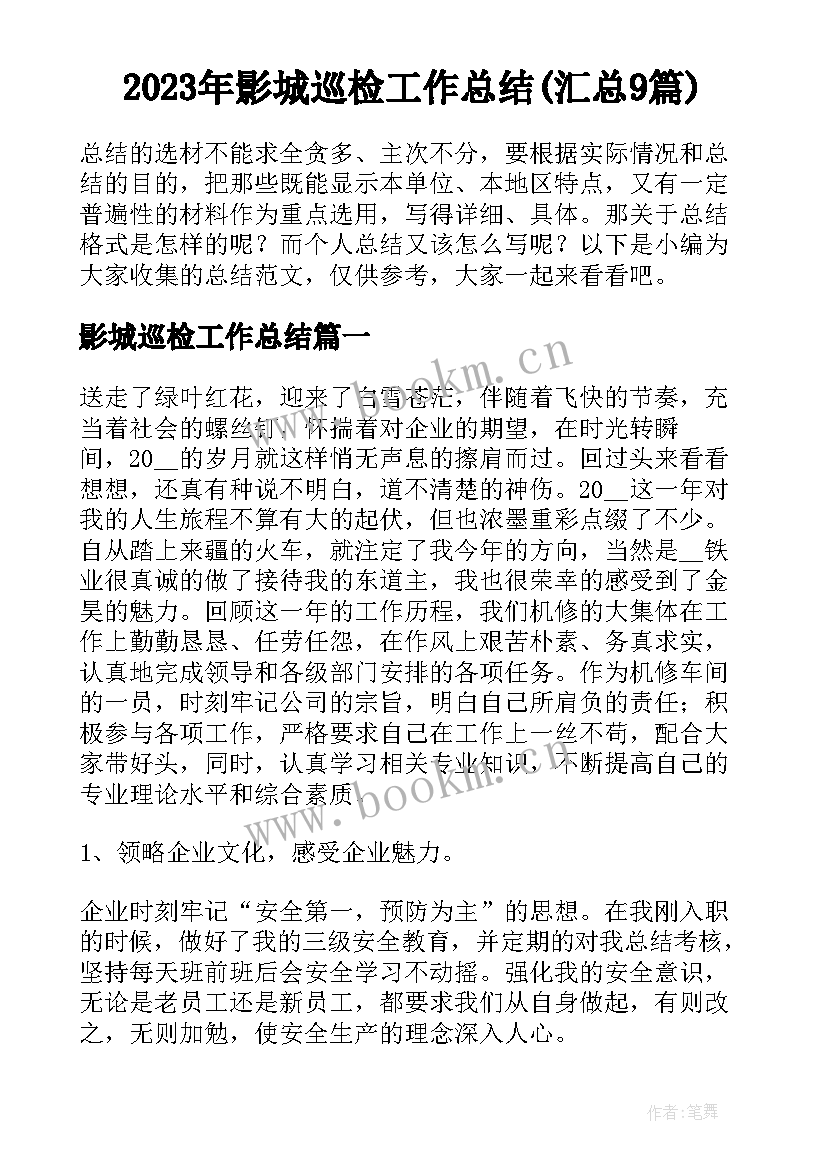 2023年影城巡检工作总结(汇总9篇)