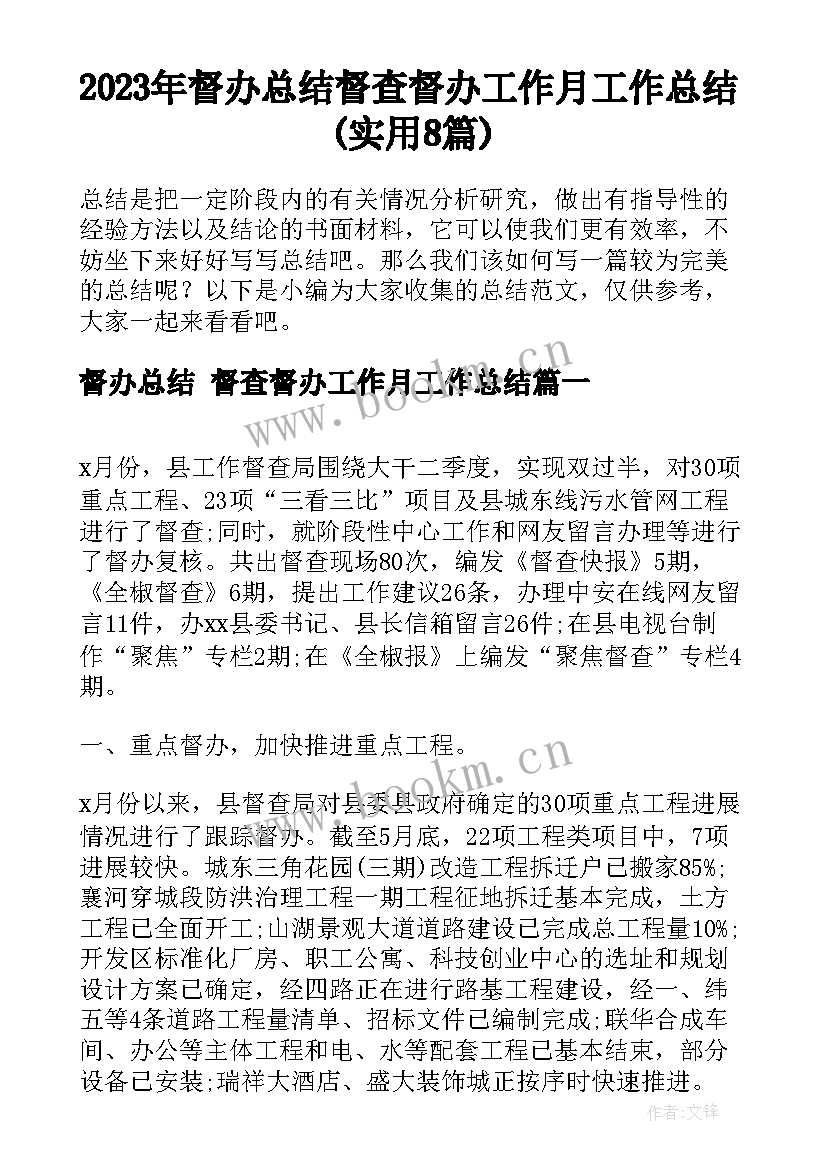 2023年督办总结 督查督办工作月工作总结(实用8篇)