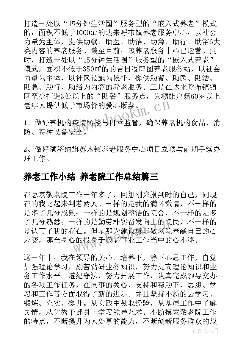 2023年养老工作小结 养老院工作总结(优质5篇)