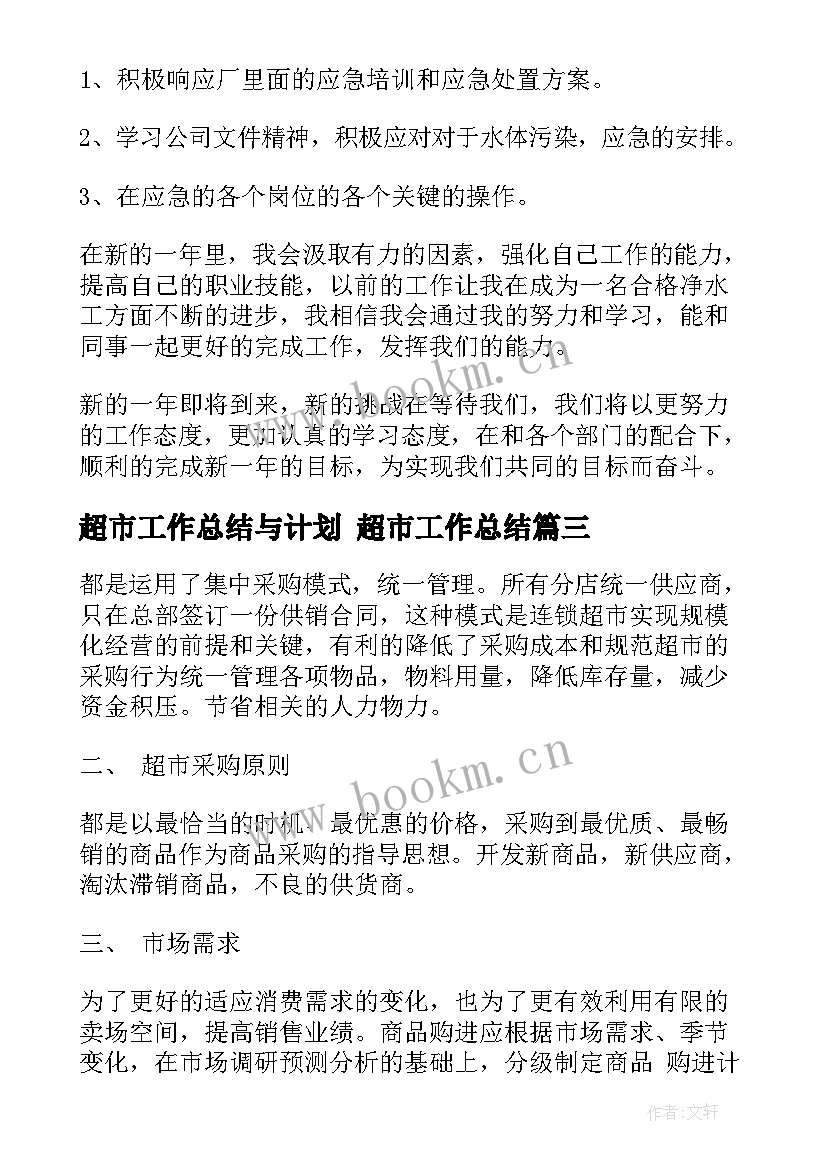 2023年超市工作总结与计划 超市工作总结(实用9篇)