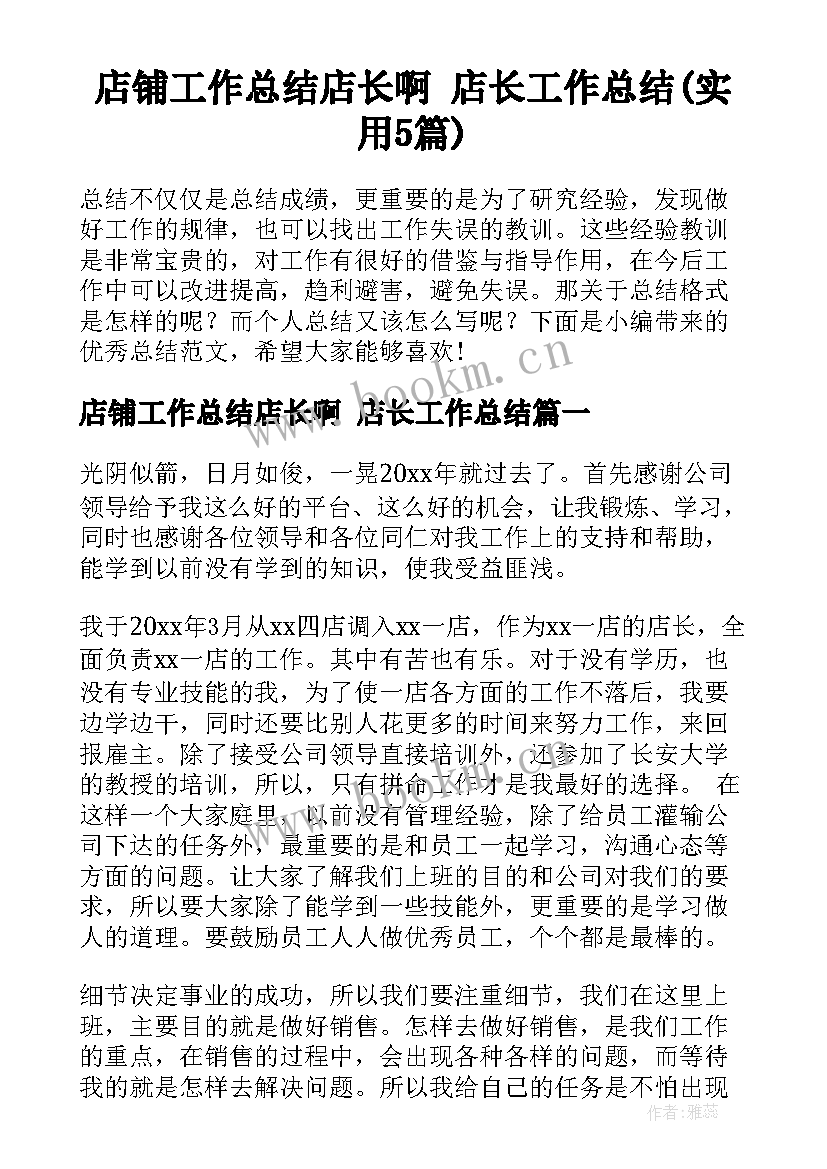 店铺工作总结店长啊 店长工作总结(实用5篇)