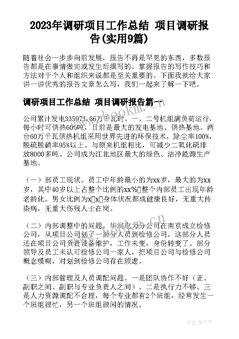 2023年调研项目工作总结 项目调研报告(实用9篇)