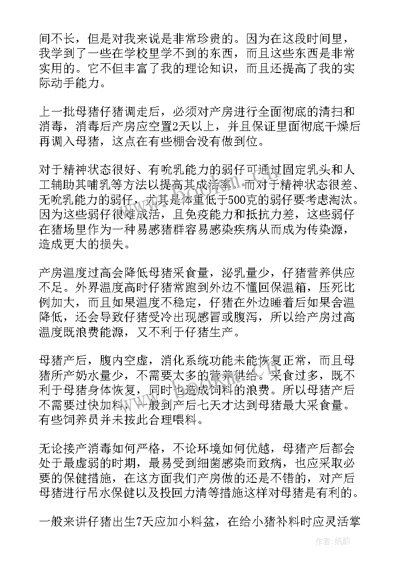 最新猪场企业工作总结 猪场工作总结(汇总10篇)