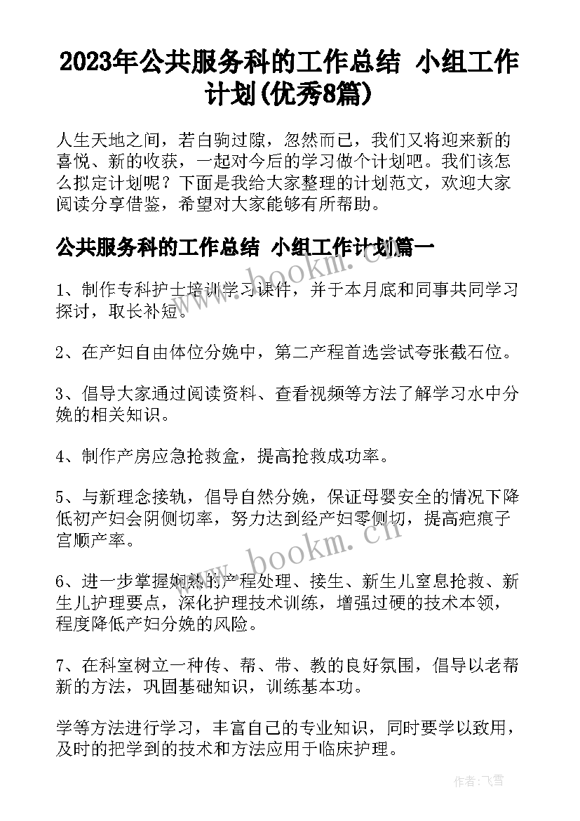 2023年公共服务科的工作总结 小组工作计划(优秀8篇)