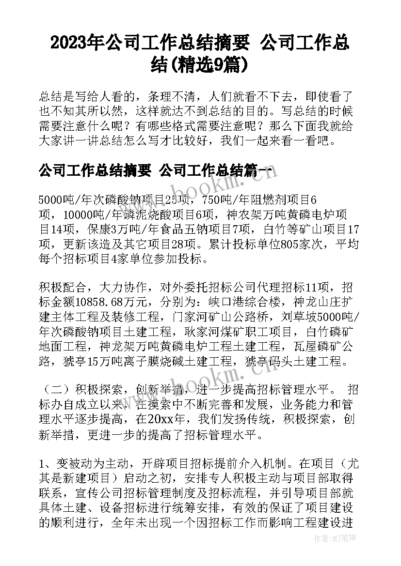 2023年公司工作总结摘要 公司工作总结(精选9篇)