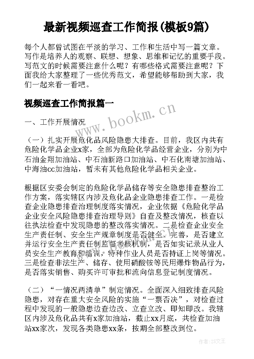 最新视频巡查工作简报(模板9篇)