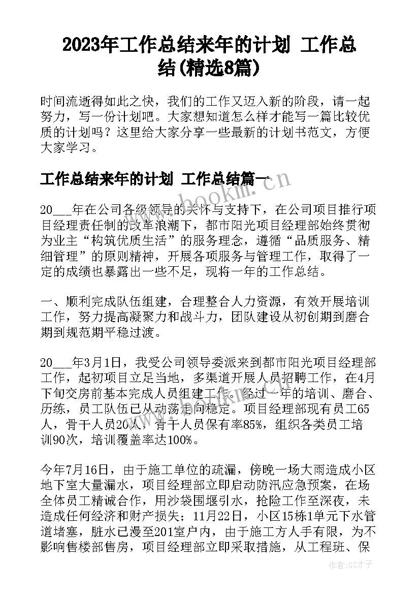 2023年工作总结来年的计划 工作总结(精选8篇)