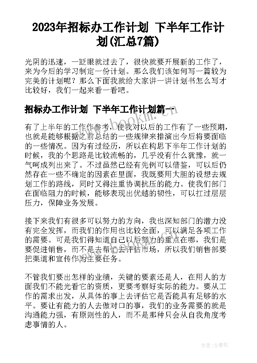 2023年招标办工作计划 下半年工作计划(汇总7篇)