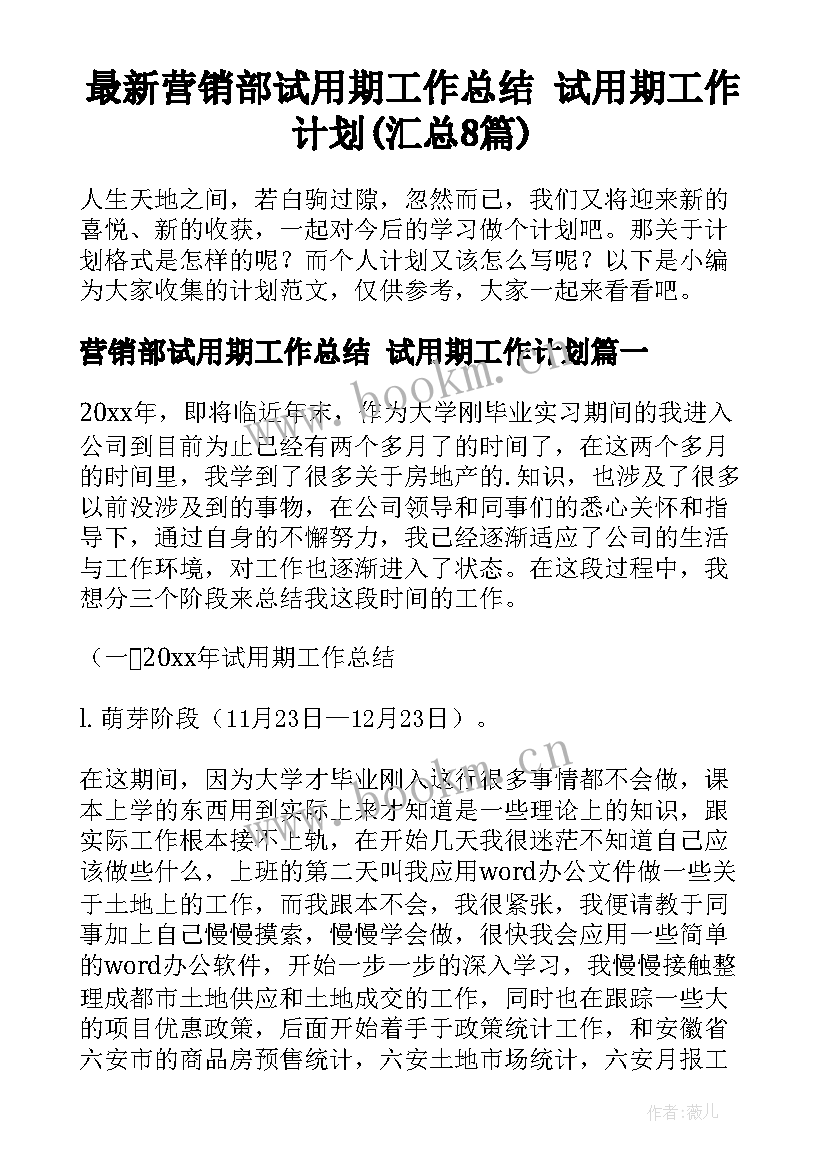 最新营销部试用期工作总结 试用期工作计划(汇总8篇)