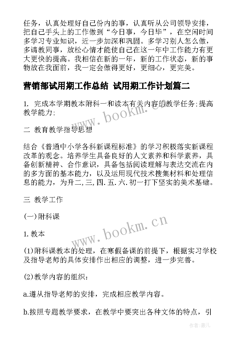 最新营销部试用期工作总结 试用期工作计划(汇总8篇)