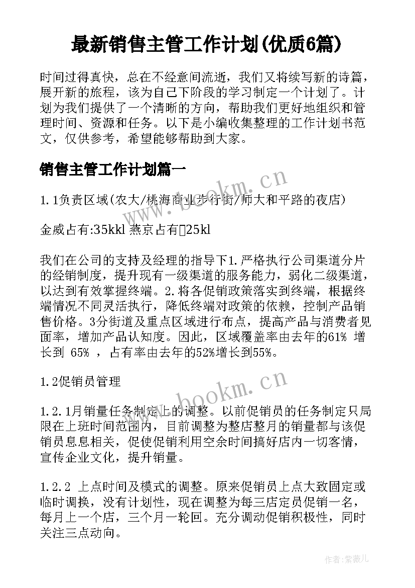 最新销售主管工作计划(优质6篇)