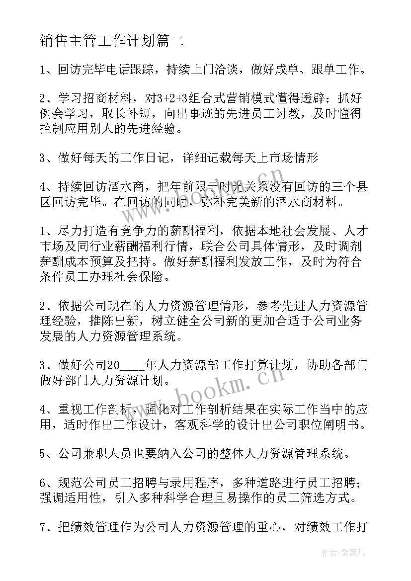 最新销售主管工作计划(优质6篇)