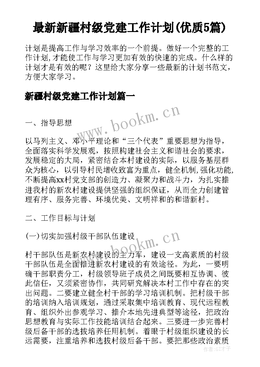 最新新疆村级党建工作计划(优质5篇)