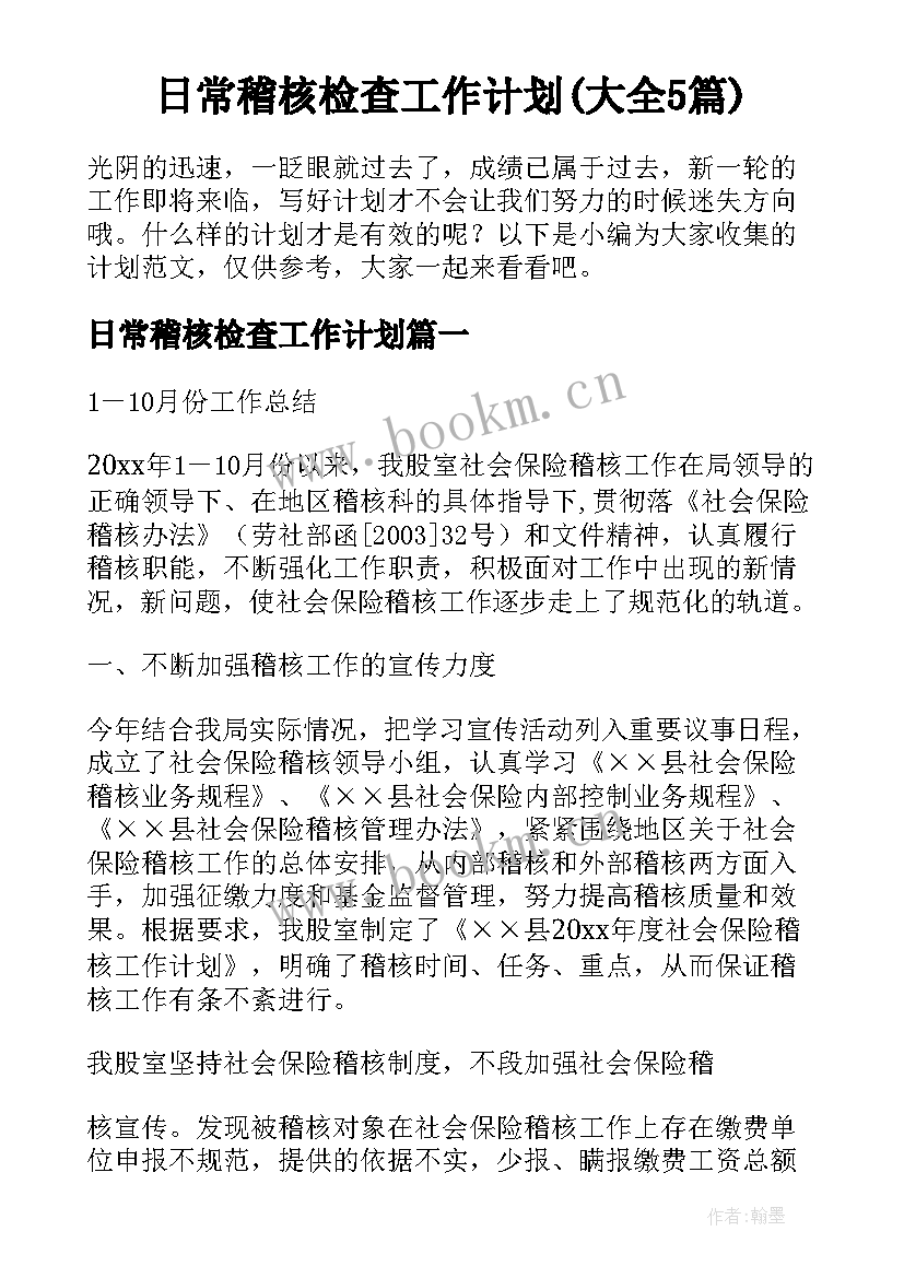 日常稽核检查工作计划(大全5篇)