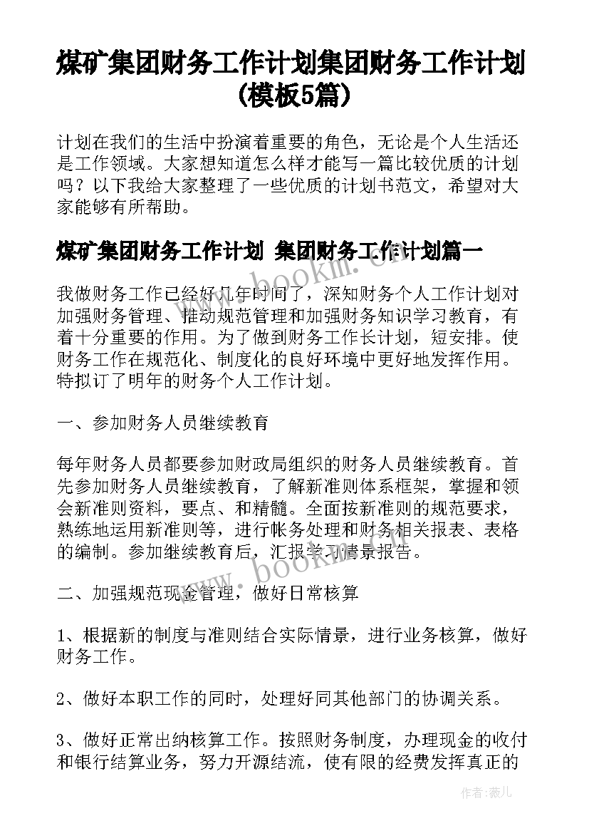 煤矿集团财务工作计划 集团财务工作计划(模板5篇)