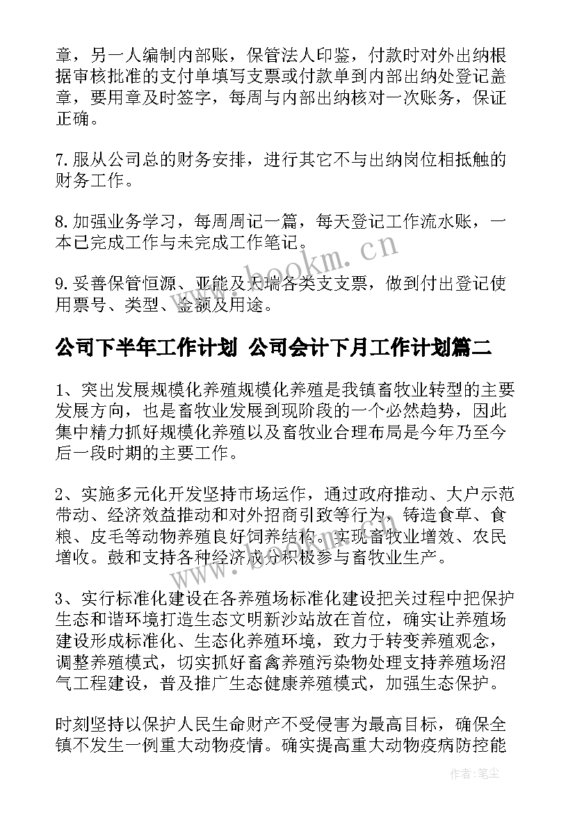 公司下半年工作计划 公司会计下月工作计划(汇总8篇)