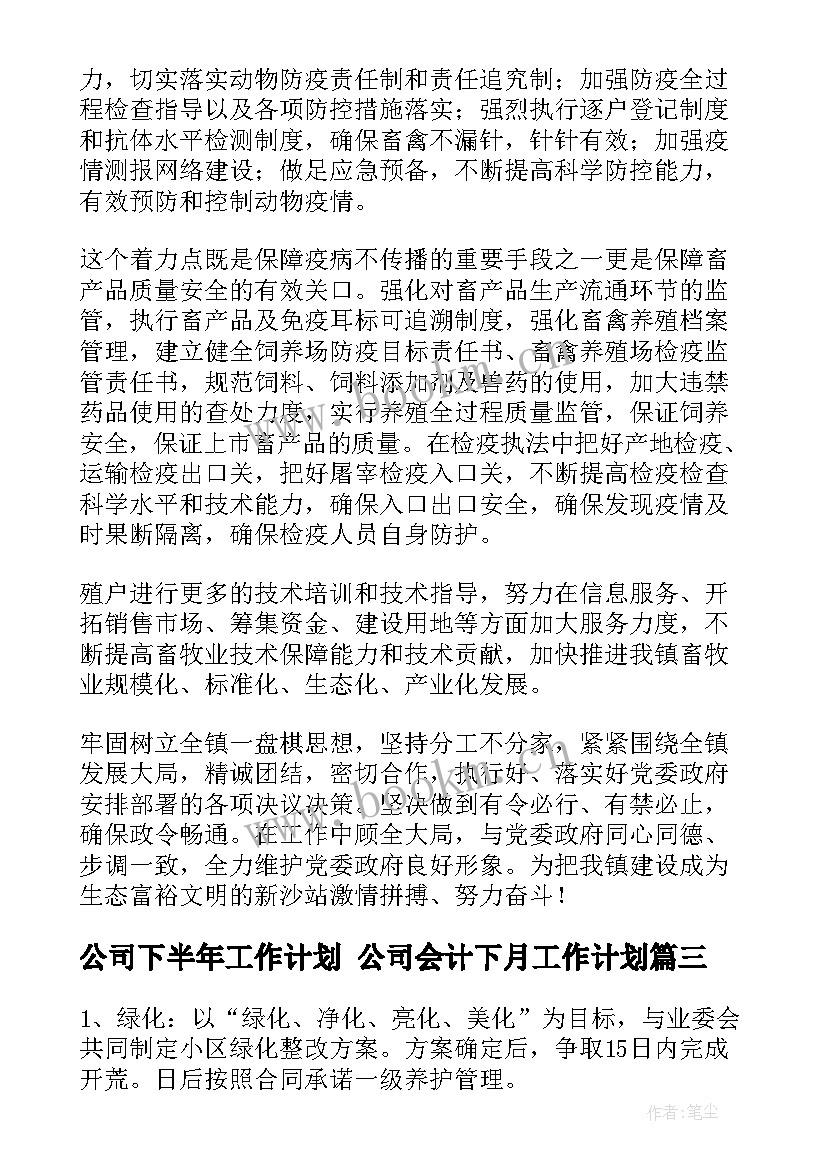 公司下半年工作计划 公司会计下月工作计划(汇总8篇)