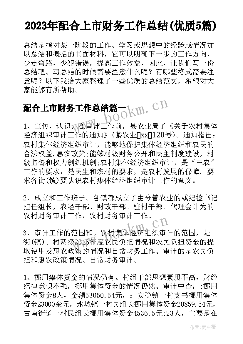 2023年配合上市财务工作总结(优质5篇)