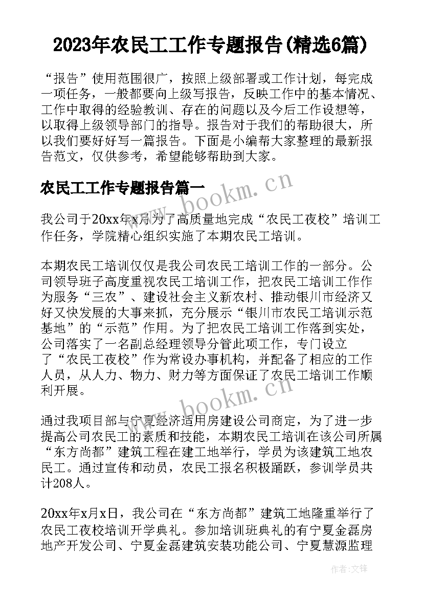 2023年农民工工作专题报告(精选6篇)