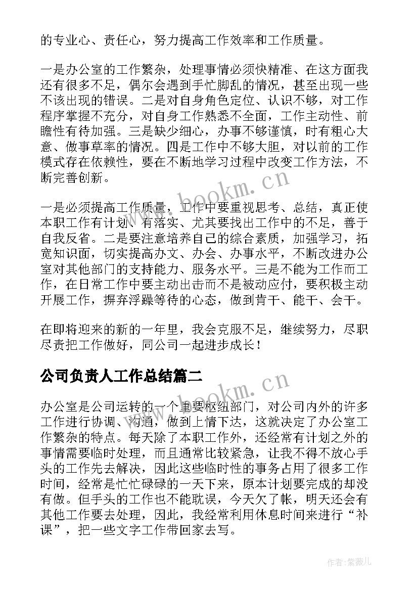 2023年公司负责人工作总结(汇总5篇)