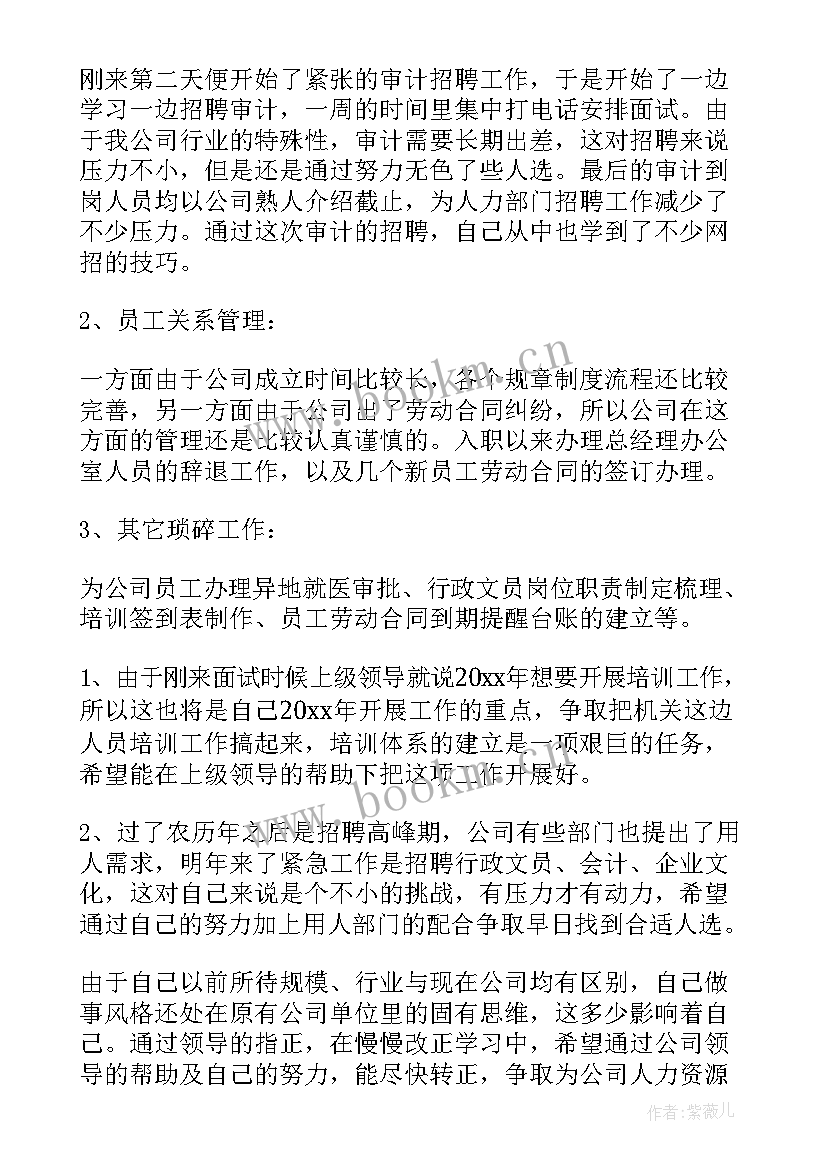 2023年公司负责人工作总结(汇总5篇)