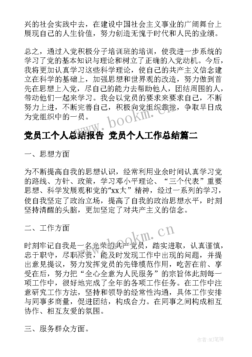 2023年党员工个人总结报告 党员个人工作总结(模板6篇)