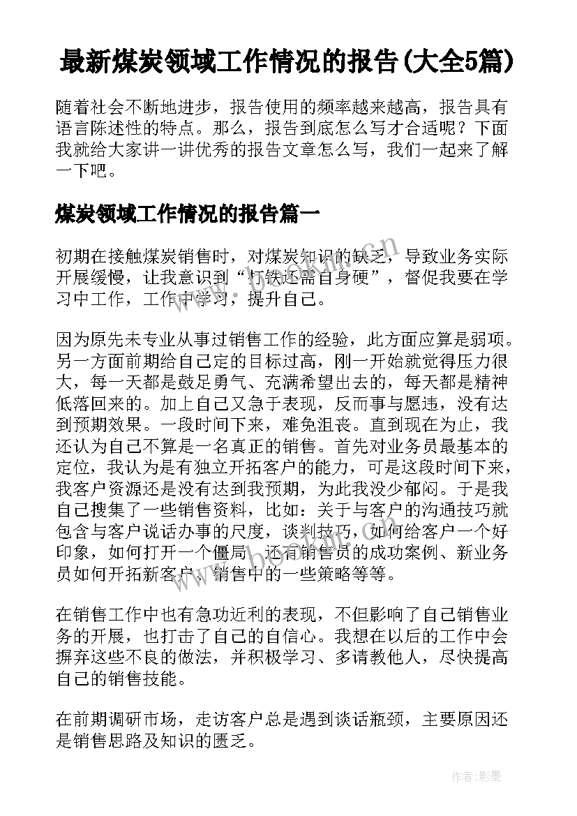 最新煤炭领域工作情况的报告(大全5篇)