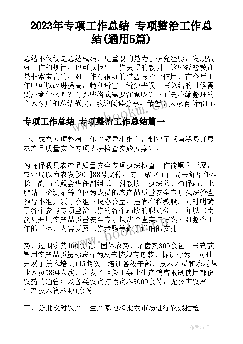 2023年专项工作总结 专项整治工作总结(通用5篇)